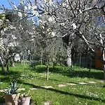 Se226 - Senigallia, Nuovo Trilocale Con Ampio Giardino Apartament Senigallia