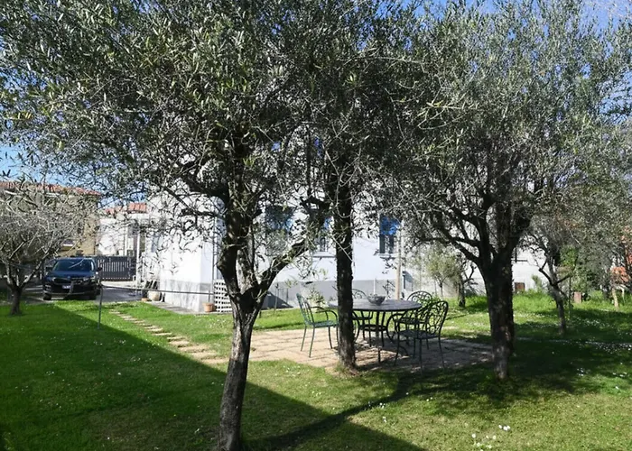 Апартаменти Se226 - Senigallia, Nuovo Trilocale Con Ampio Giardino