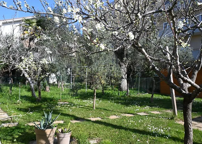Se226 - Senigallia, Nuovo Trilocale Con Ampio Giardino Apartman Senigallia
